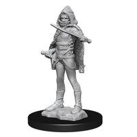WK90156 Nolzur's Marvelous Miniatures Darkling Elder & Darklings Wave 13 image 1