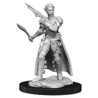 WK90148 Nolzur's Marvelous Miniatures Shifter Rogue Female Wave 13 image 1
