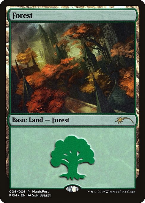 Forest (6) [MagicFest 2019]