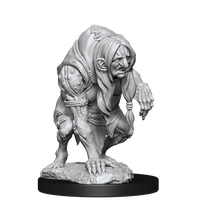 Annis Hag &amp; Green Hag Pathfinder Deep Cuts Miniatures Wave 14 90266 image 1