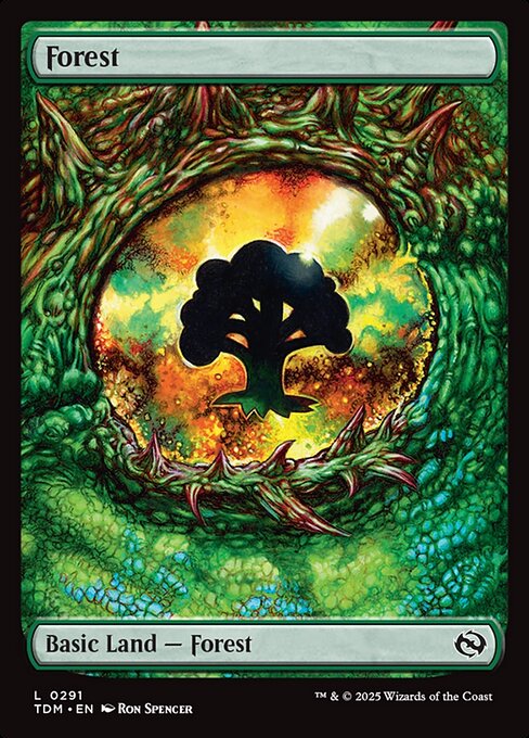 Forest (291) [Tarkir: Dragonstorm]
