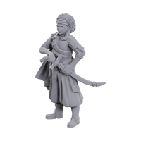 NMM Ansalon Human Rogue Wave 23 image 0