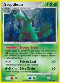 Sceptile (10/100) [Stormfront]