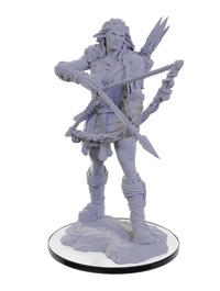 Pathfinder Deep Cuts Unpainted Miniatures: Wood Giant Wave 22 image 0