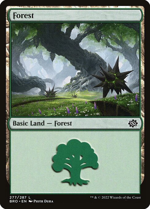 Forest (277) [The Brothers' War]