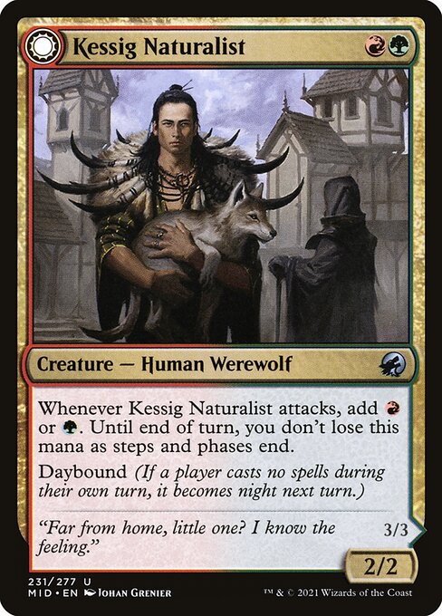 Kessig Naturalist // Lord of the Ulvenwald (231) [Innistrad: Midnight Hunt]