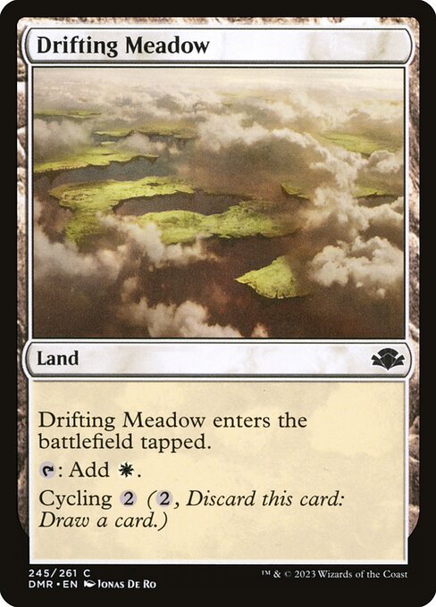 Drifting Meadow (245) [Dominaria Remastered]