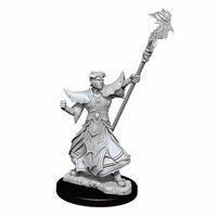 Pathfinder Deep Cuts Male Human Sorcerer 90052 image 0