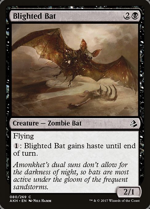 Blighted Bat (80) [Amonkhet]