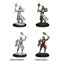 NMM Human Cleric 73671 image 0