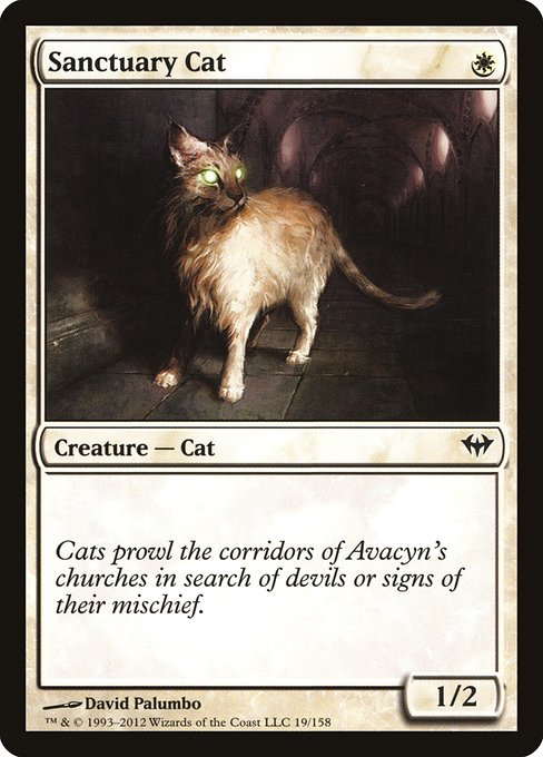 Sanctuary Cat (19) [Dark Ascension]