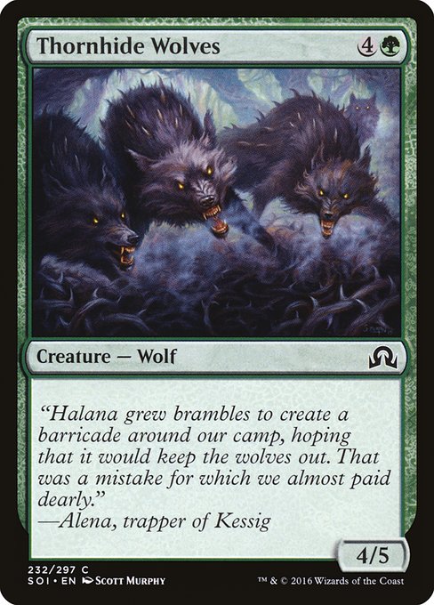Thornhide Wolves (232) [Shadows over Innistrad]