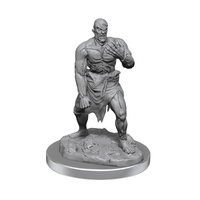 D&amp;D Nolzur's Marvelous Miniatures: Flesh Golems image 0