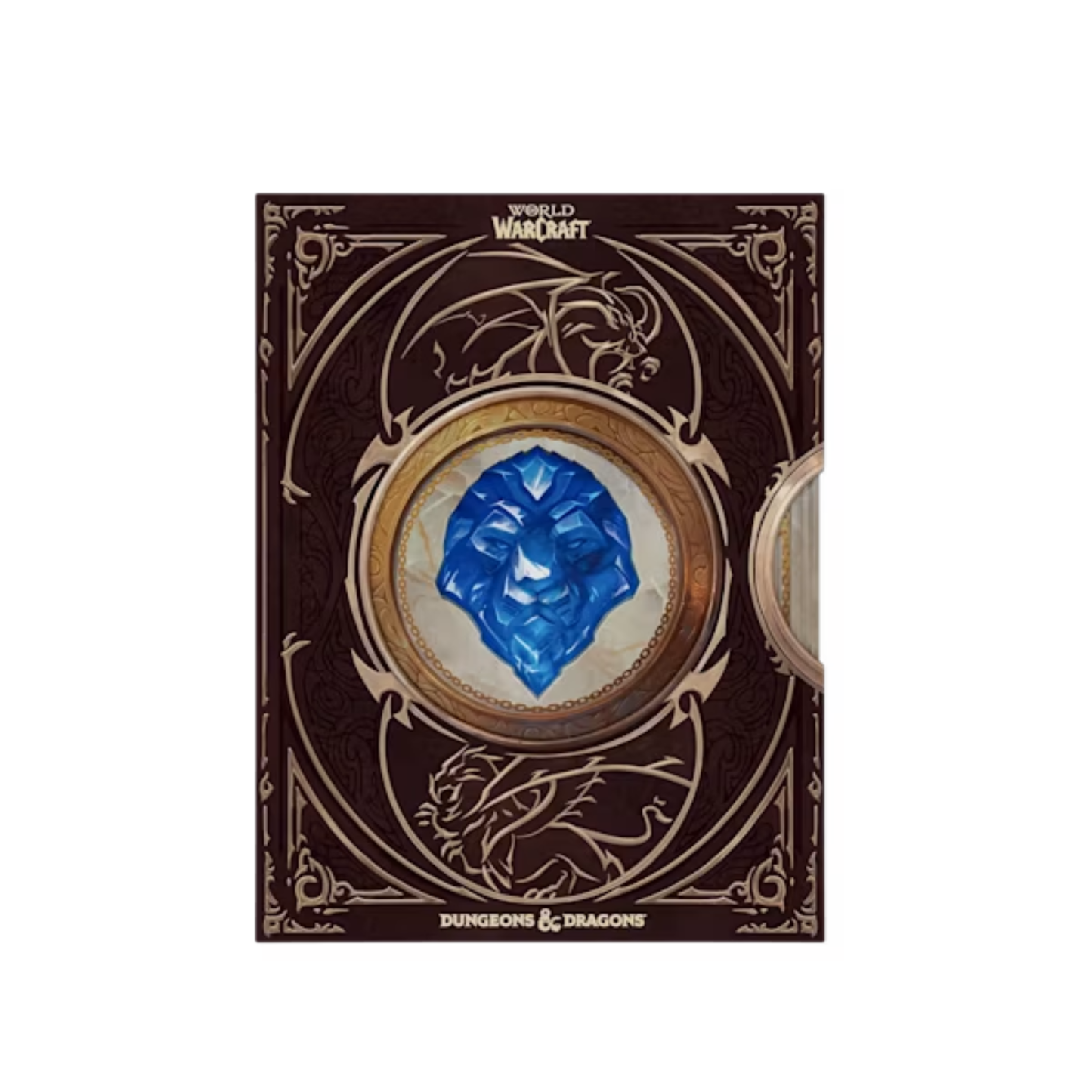 D&D®: World of Warcraft® Collector's Edition Gameplay Expansion