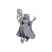 Critical Role Unpainted Miniatures: Fearne Calloway & Mister Wave 23 image 0
