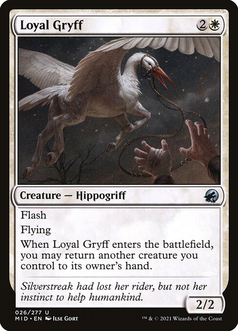 Loyal Gryff (26) [Innistrad: Midnight Hunt]