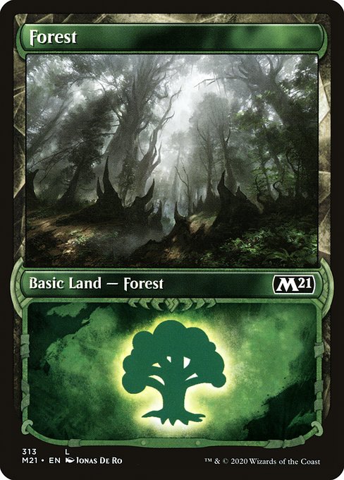 Forest (313) [Core Set 2021] [Showcase]