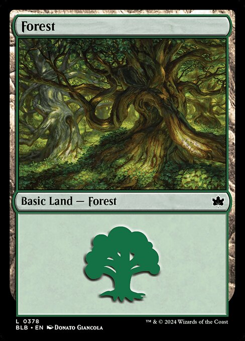Forest (378) [Bloomburrow]