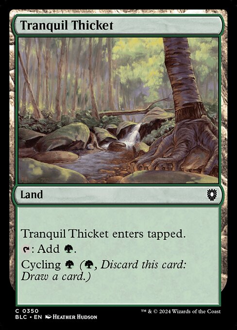Tranquil Thicket (350) [Bloomburrow Commander]