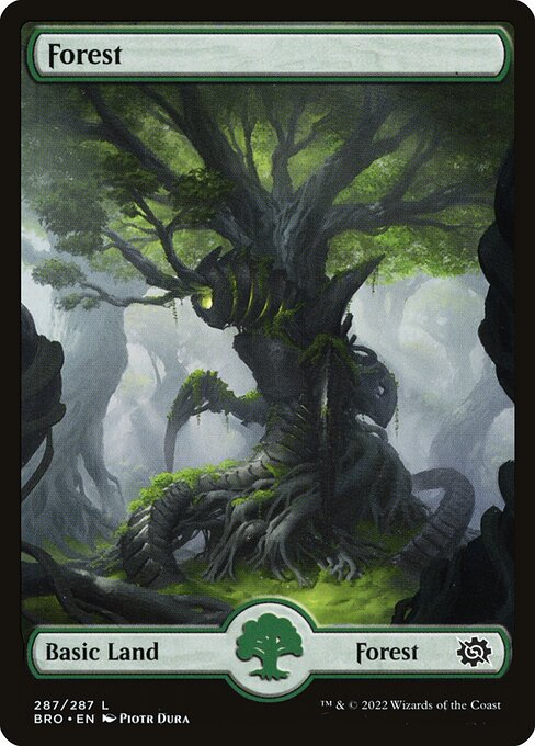 Forest (287) [The Brothers' War]