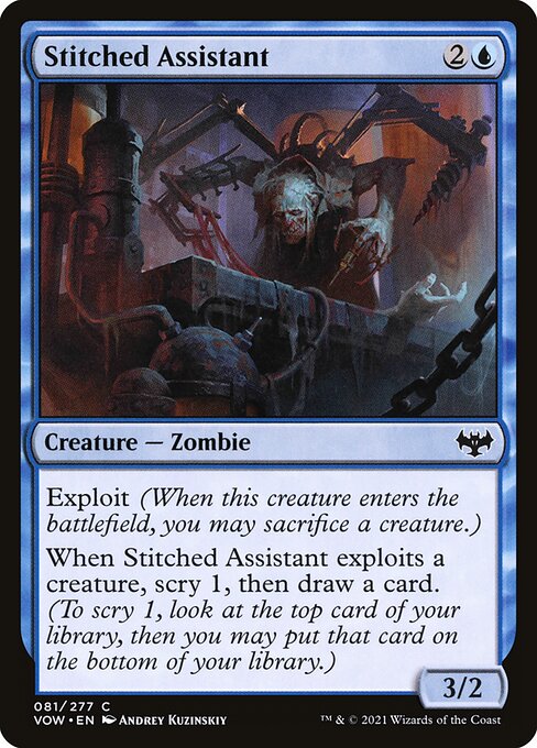 Stitched Assistant (81) [Innistrad: Crimson Vow]