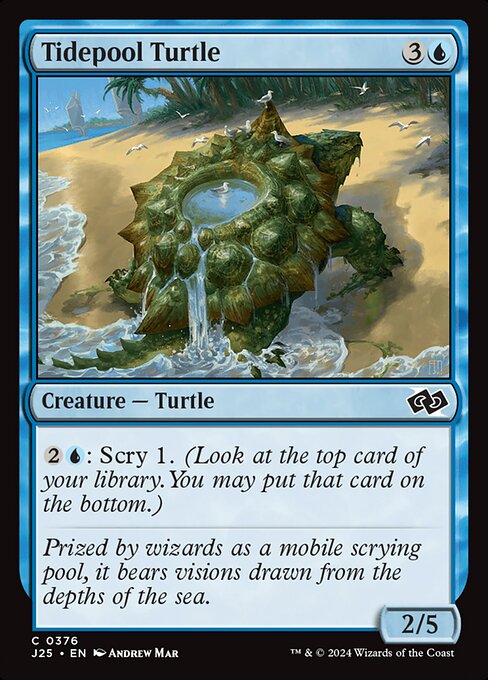 Tidepool Turtle (376) [Foundations Jumpstart]