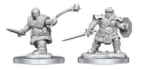 D&amp;D Nolzur’s Marvelous Miniatures: Dwarf Fighter Female image 0