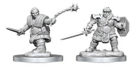 D&amp;D Nolzur’s Marvelous Miniatures: Dwarf Fighter Female image 0