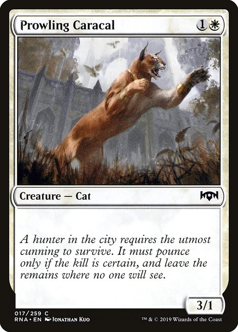 Prowling Caracal (17) [Ravnica Allegiance]