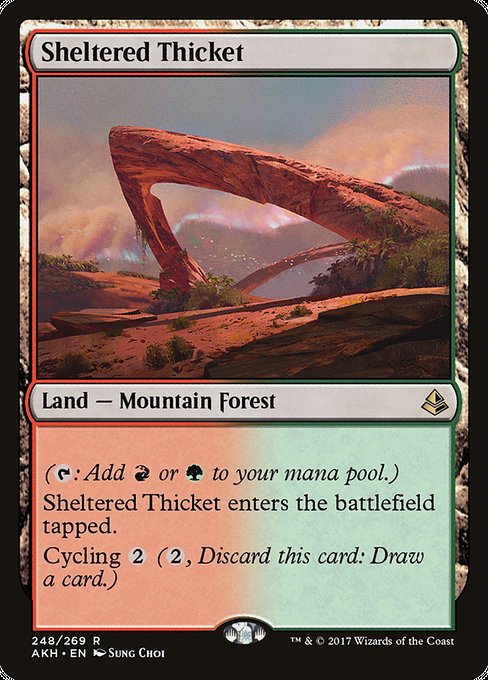 Sheltered Thicket (248) [Amonkhet]