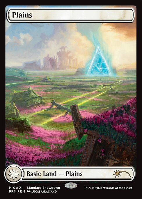 Plains (1) [MKM Standard Showdown]