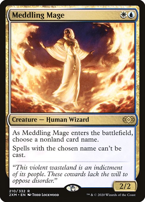 Meddling Mage (210) [Double Masters]