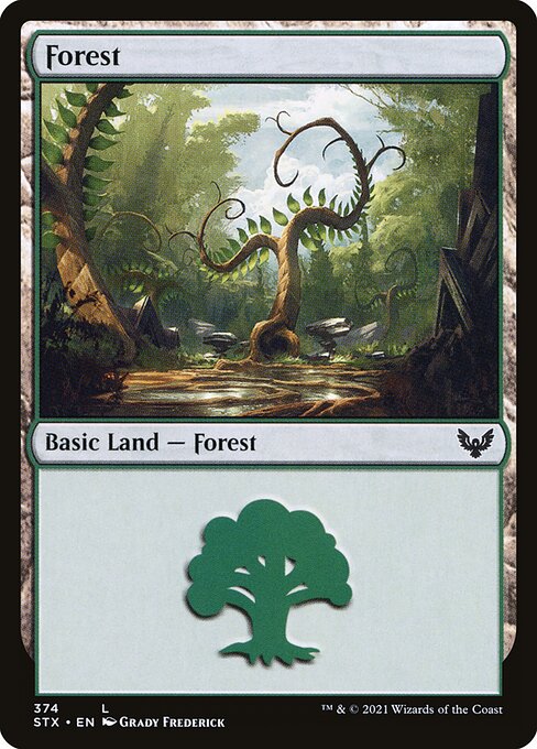 Forest (374) [Strixhaven: School of Mages]