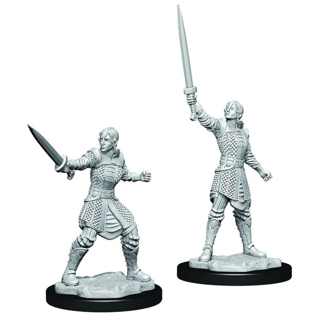 Critical Role Miniature: Human Dwendalian Empire Fighter W1 image 2