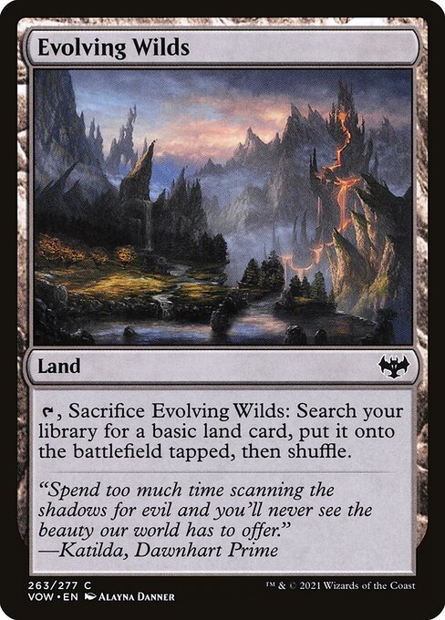 Evolving Wilds (263) [Innistrad: Crimson Vow]