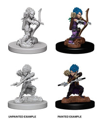 PFDC Female Gnome Rogue 73408 image 0