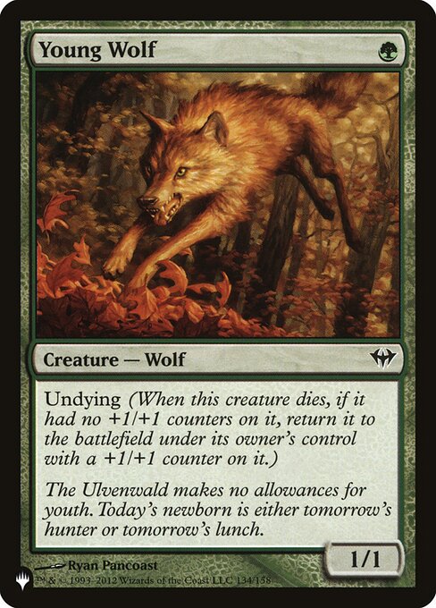 Young Wolf (DKA-134) [The List]