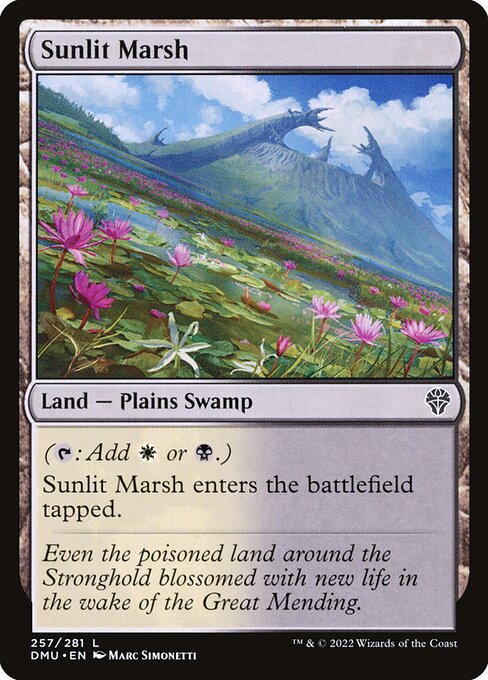 Sunlit Marsh (257) [Dominaria United]