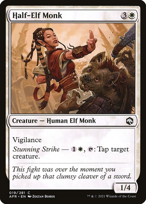 Half-Elf Monk (19) [Adventures in the Forgotten Realms]