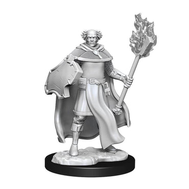 WK90151 Nolzur's Marvelous Miniatures Multiclass Cleric &amp; Wizard Male Wave 13 image 1
