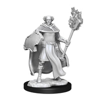 WK90151 Nolzur's Marvelous Miniatures Multiclass Cleric &amp; Wizard Male Wave 13 image 1