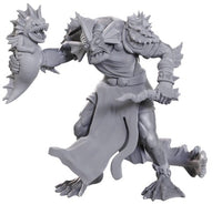 NMM Sahuagin Priestess Wave 24 image 0