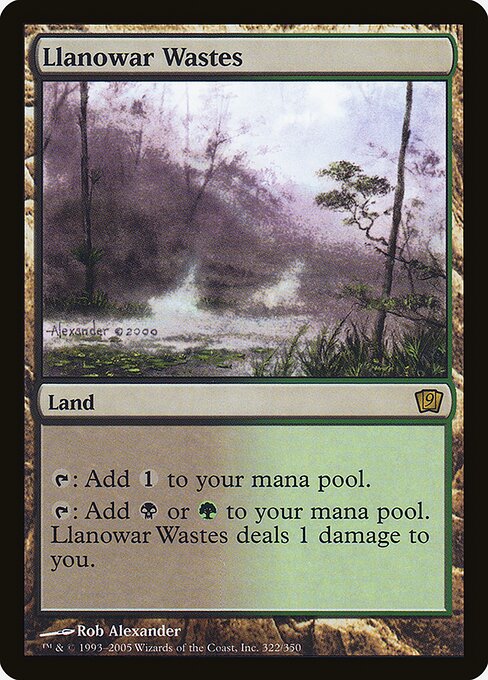 Llanowar Wastes (322★) [Ninth Edition]