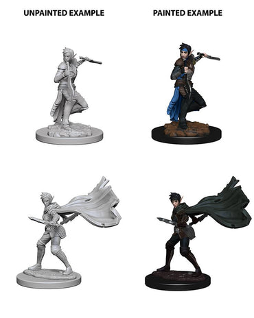 Pathfinder Deep Cuts Elf Rogue Female 73187 image 0