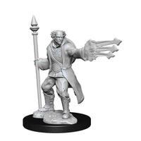 WK90151 Nolzur's Marvelous Miniatures Multiclass Cleric &amp; Wizard Male Wave 13 image 0