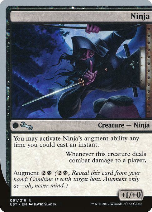 Ninja (61) [Unstable]
